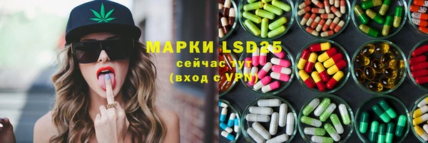 гидра Михайловск