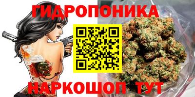 твердый Апшеронск