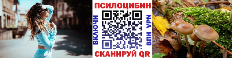 Галлюциногенные грибы MAGIC MUSHROOMS  где купить наркотик  Дзержинский 