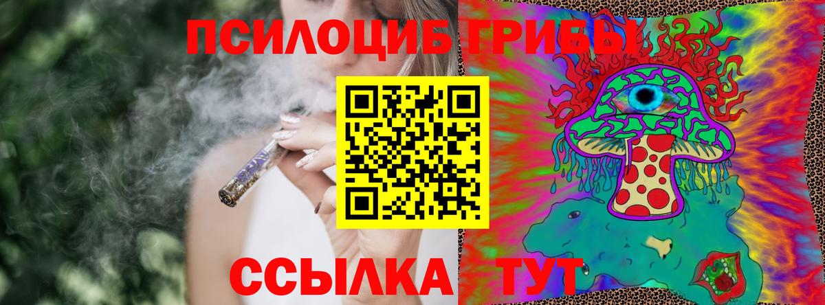 Галлюциногенные грибы MAGIC MUSHROOMS  Вход с VPN  Дзержинский 